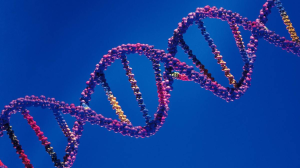 GeneHumana